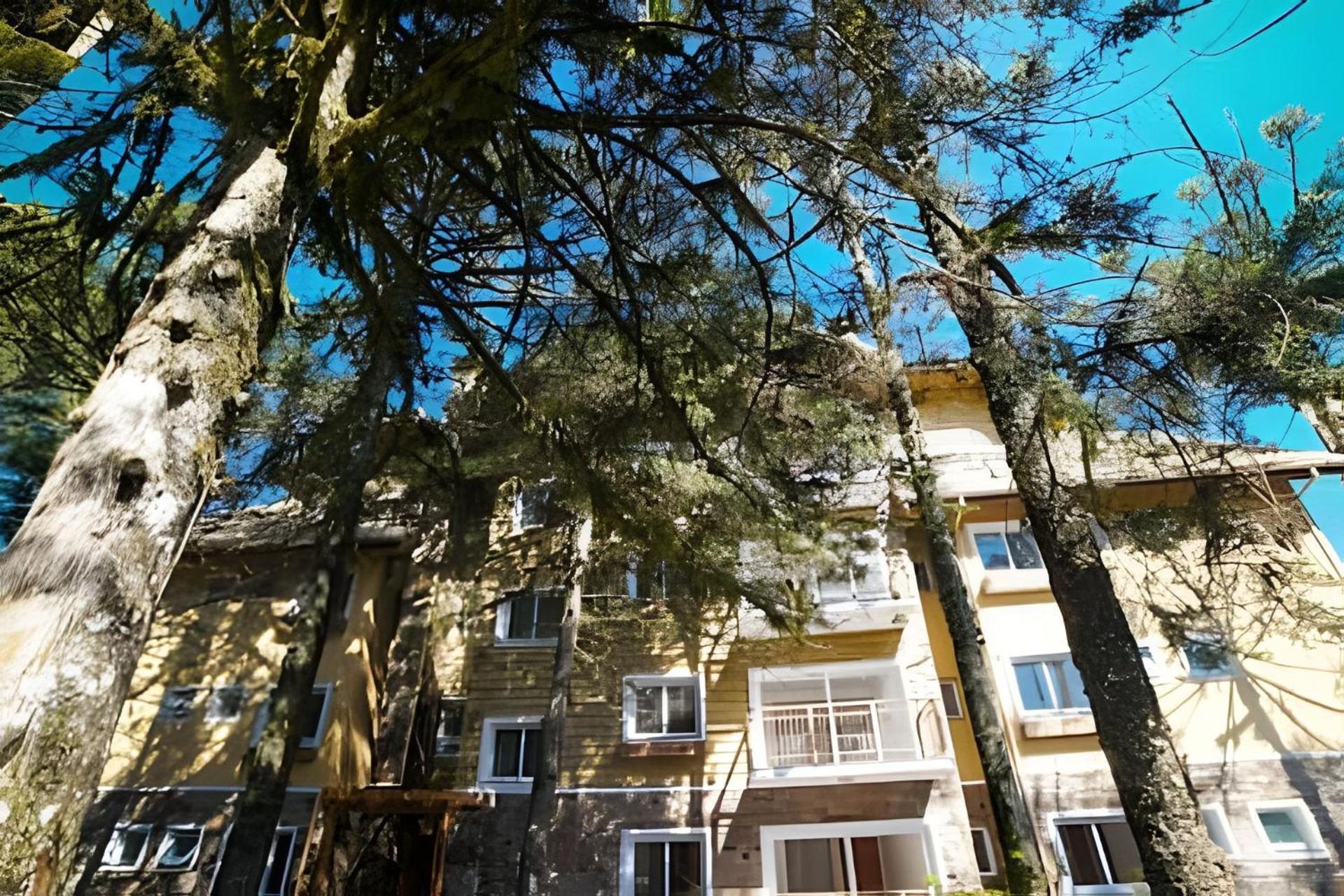 206/2 Apto Luxo Com Piscina Aquecida Gramado Kültér fotó